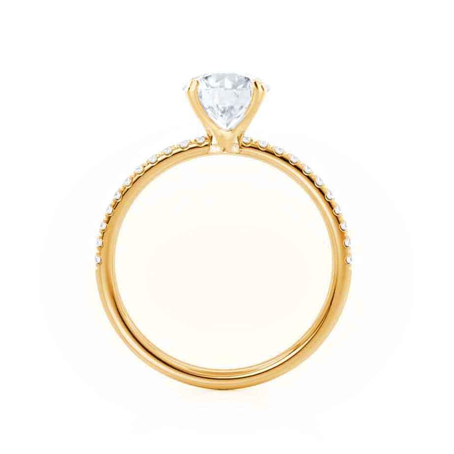 LAW146