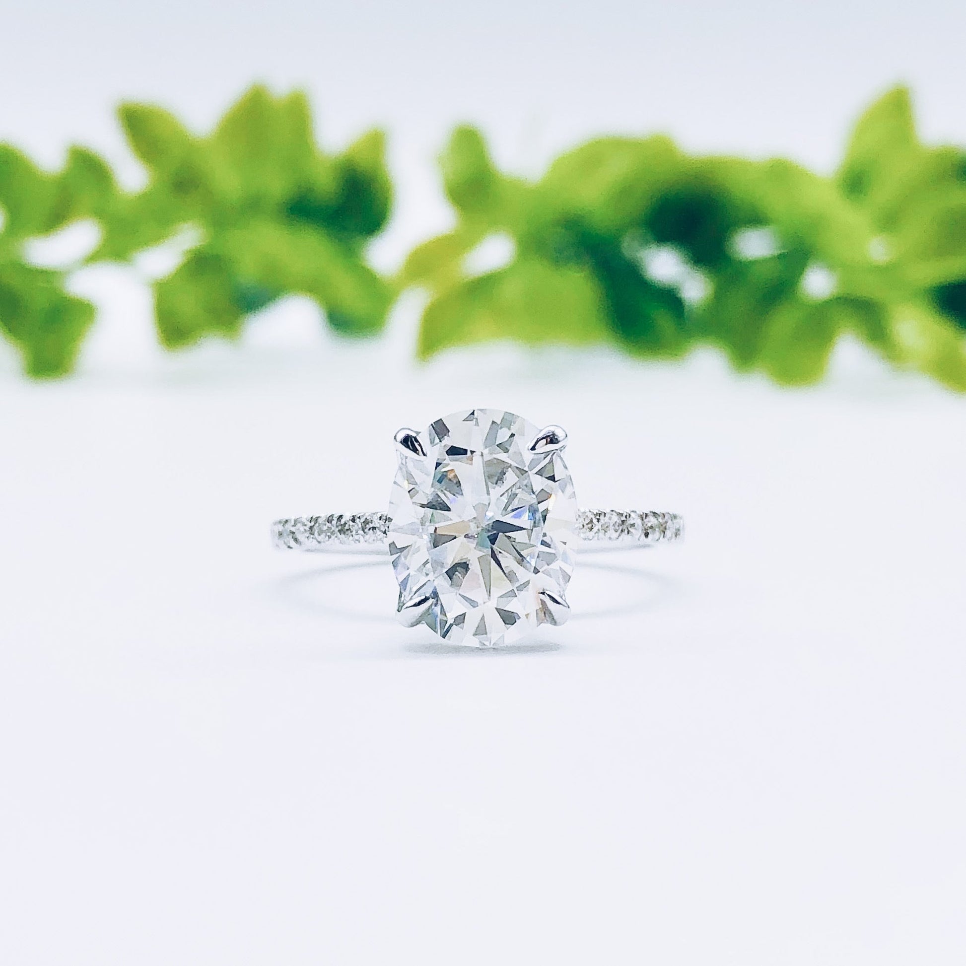 OW046