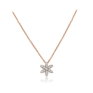 DIA100