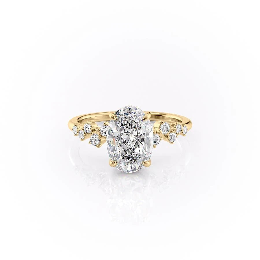 FLM081