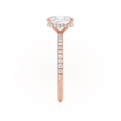 LAW253