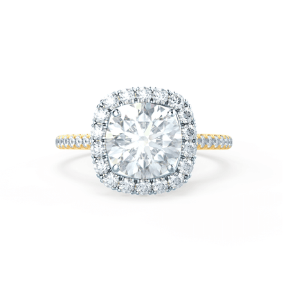 LAW177